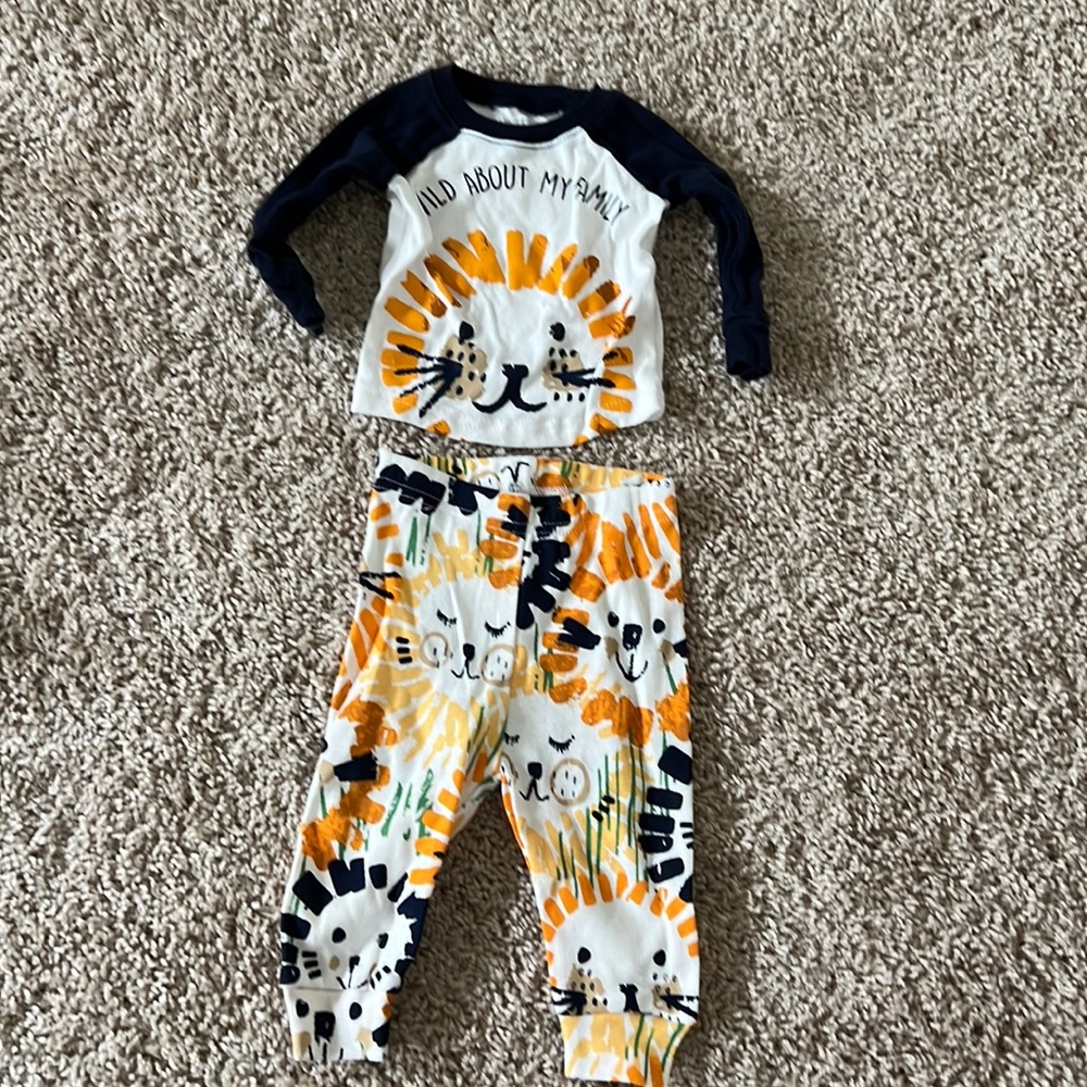 Wild About my Family set